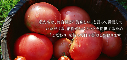 私たちは、お客様が「美味しい」と言って満足していただける、納得のいくトマトを提供するため「こだわり」を持って日々努力しております。